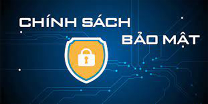 Các nguyên tắc chính của Chính sách bảo mật Sv7979