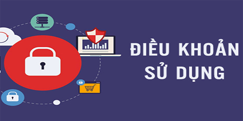 Điều khoản và điều kiện Sv7979